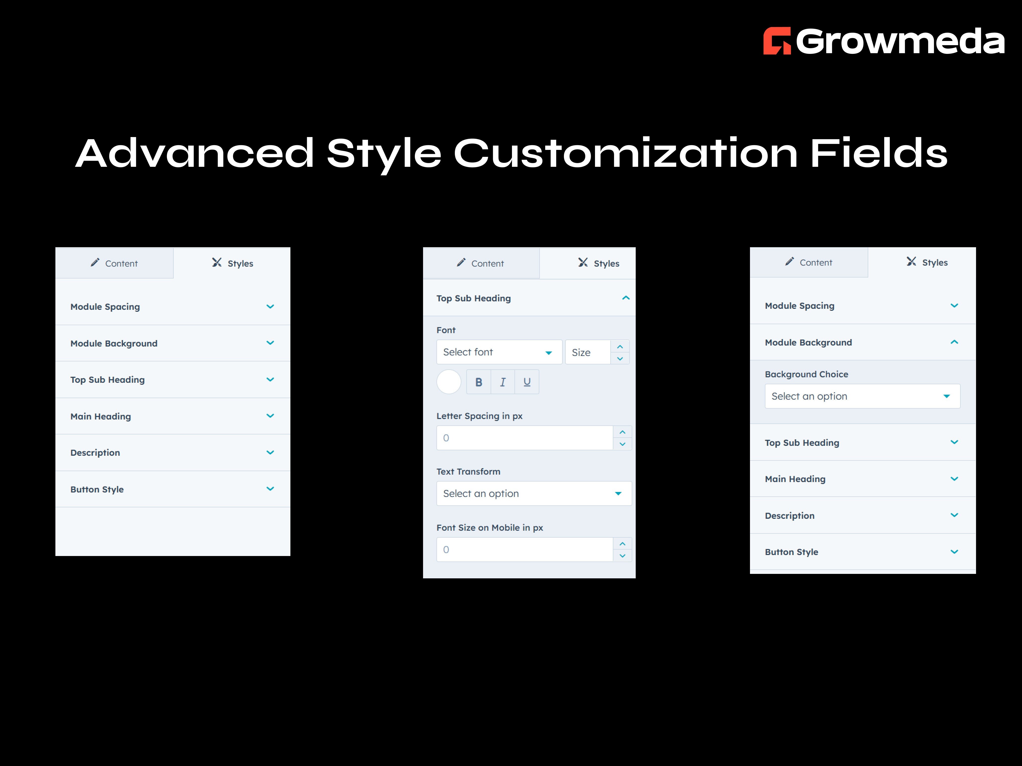 Advanced Style Customization Fields