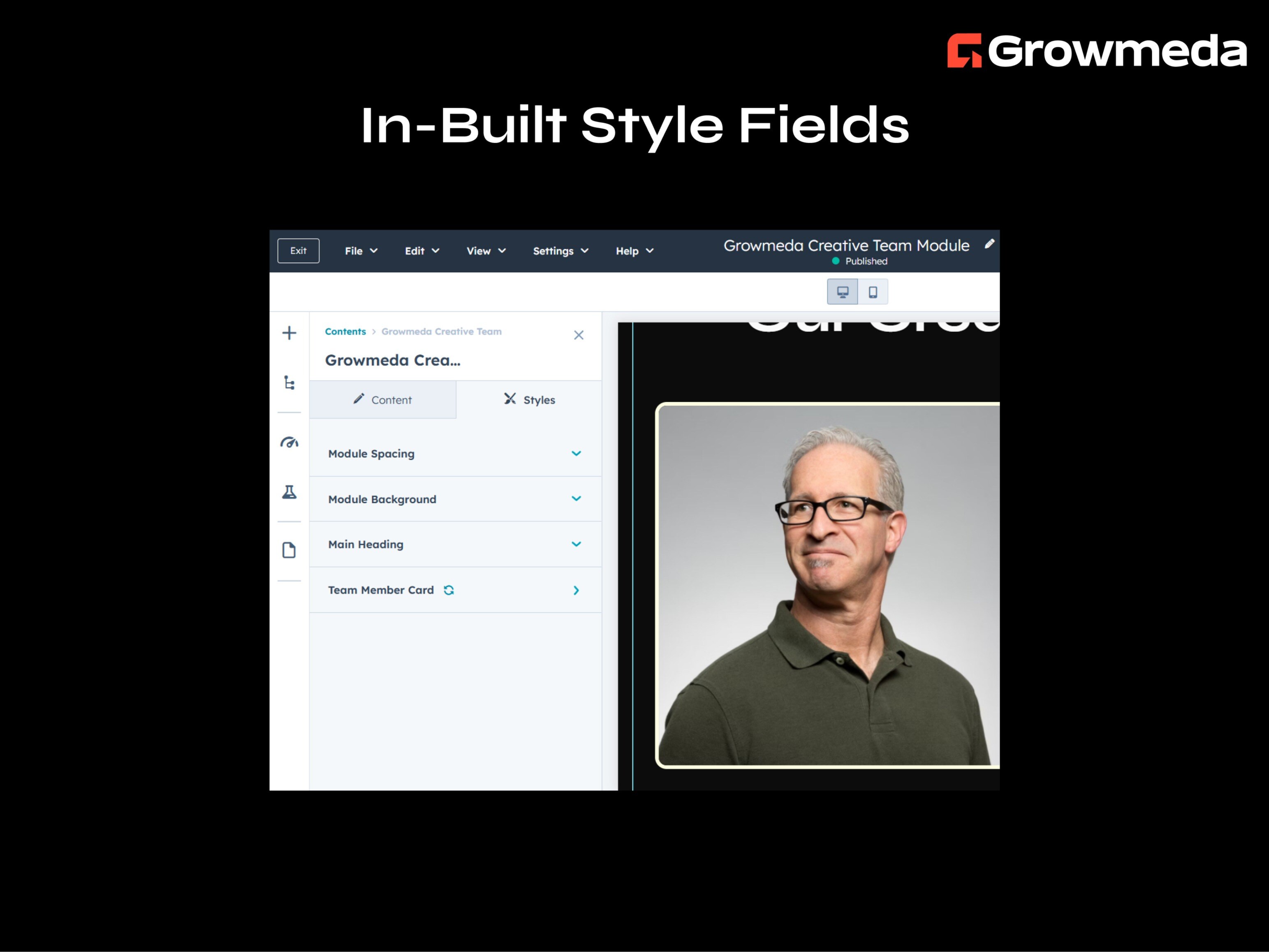 Style Field for style Customization