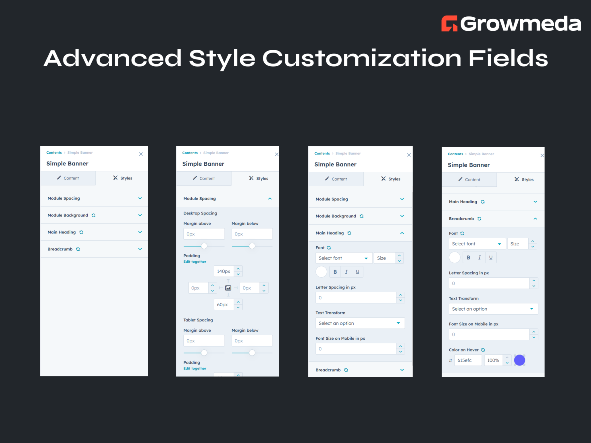Advanced Style Customization Fields