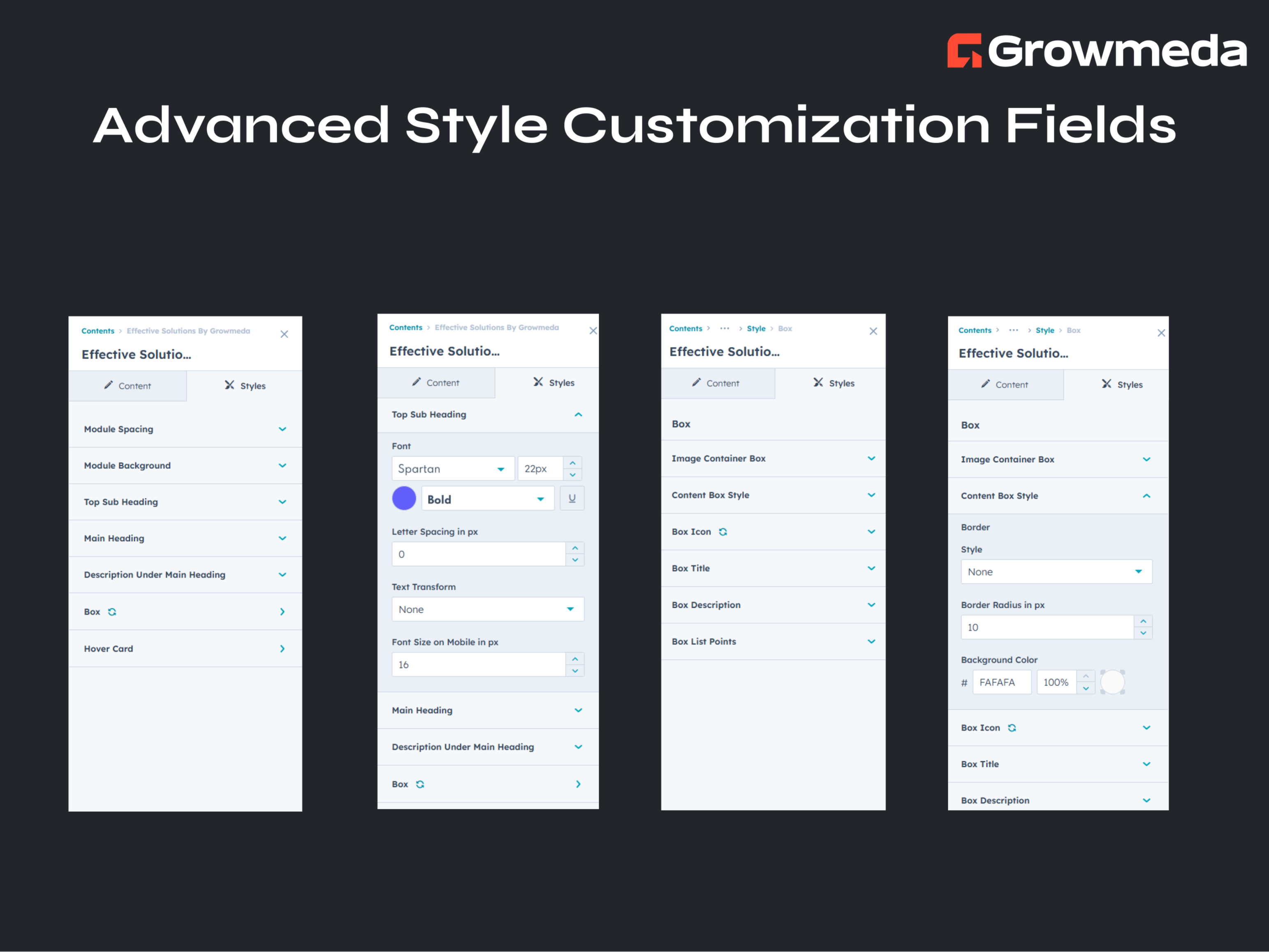 Advanced Style Customization Fields