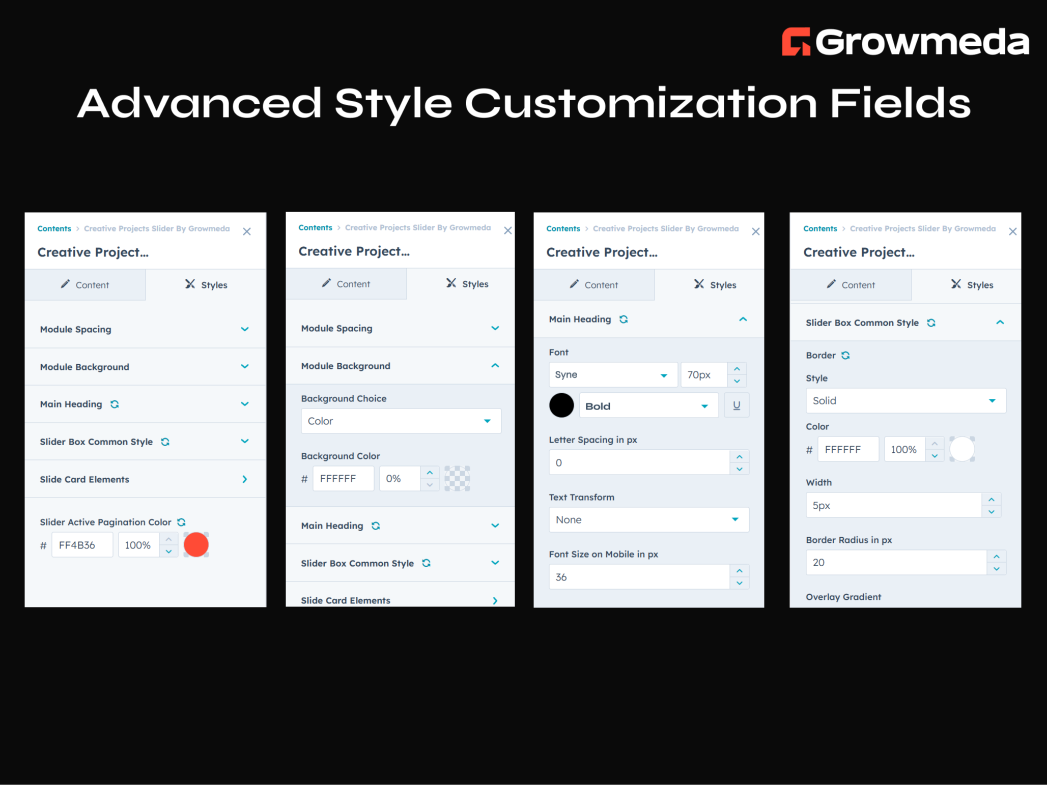 Advanced Style Customization Fields