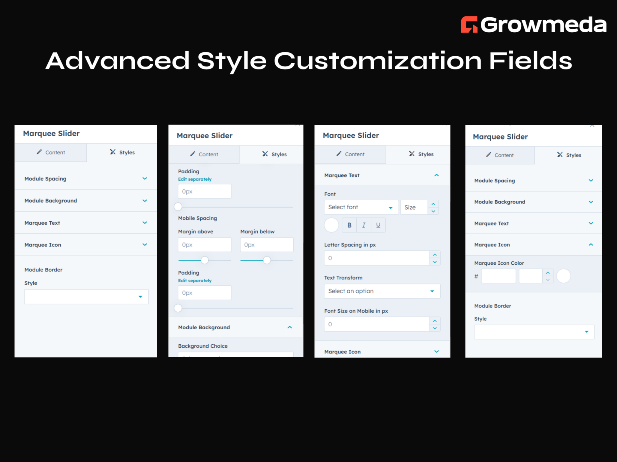 Advanced Style Customization Fields