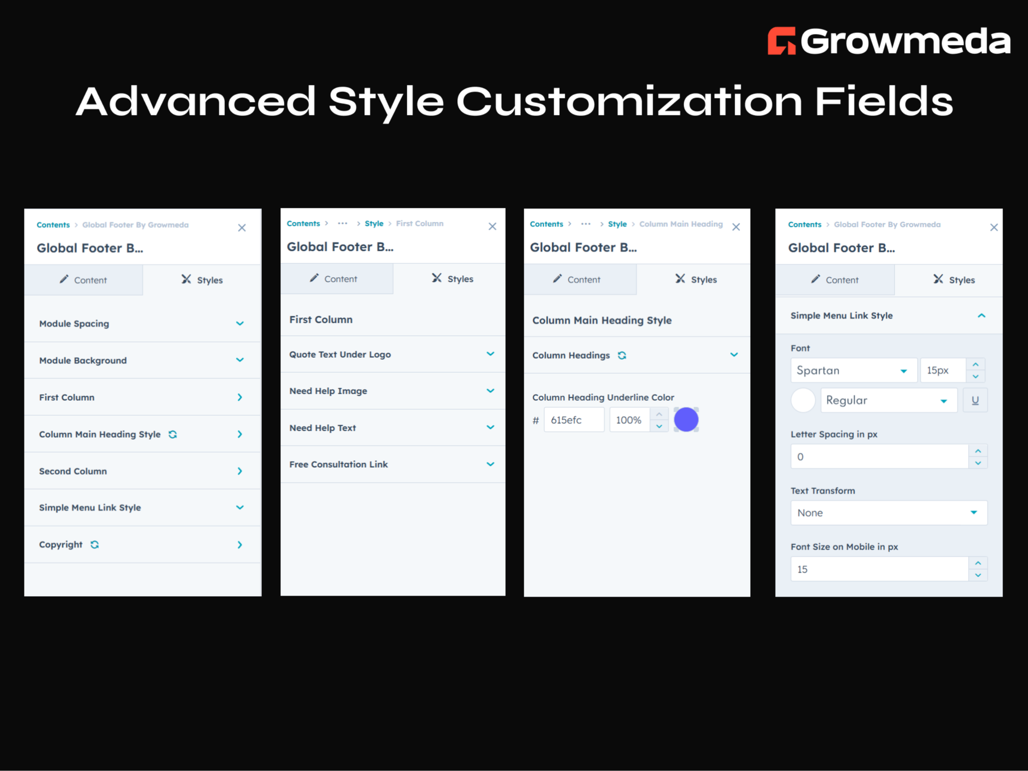 Advanced Style Customization Fields