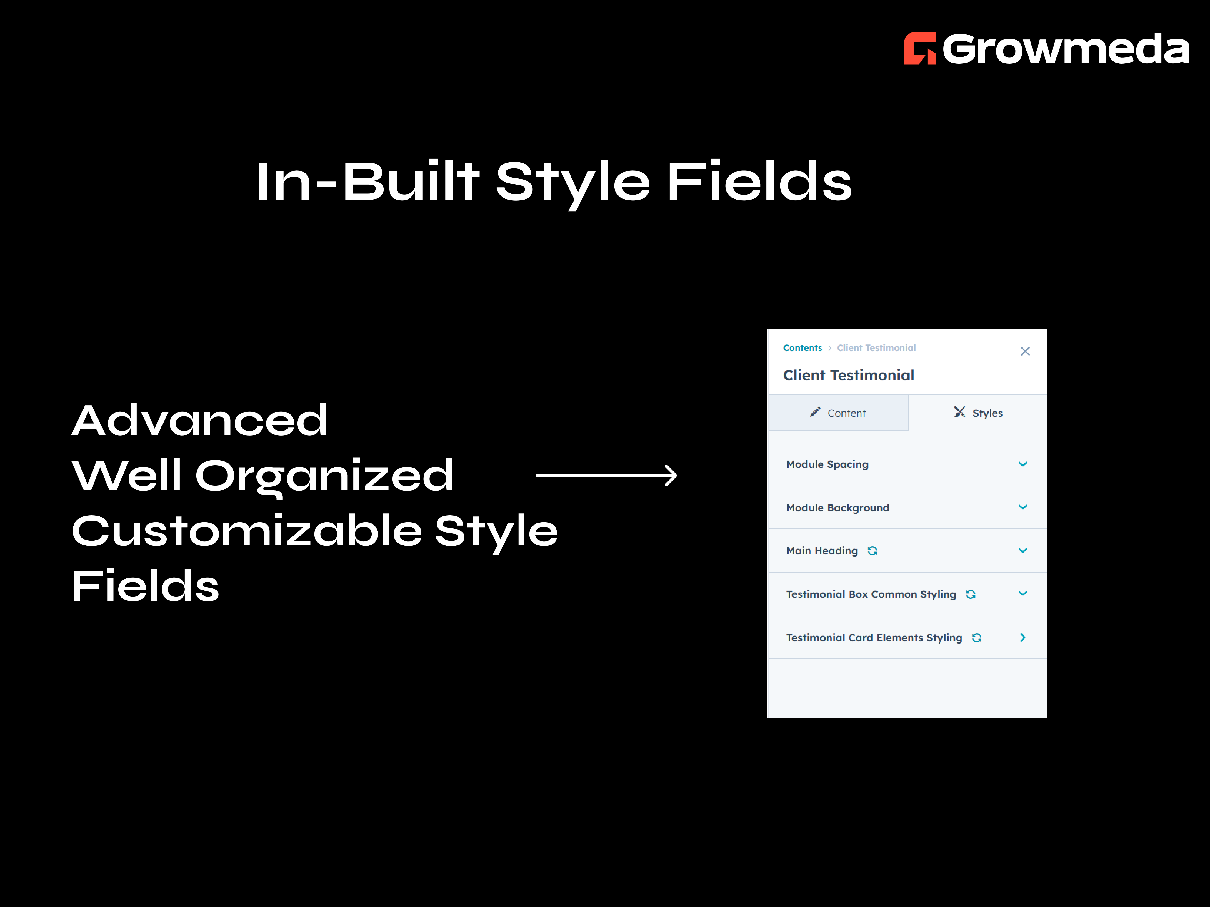 Style Field for style Customization